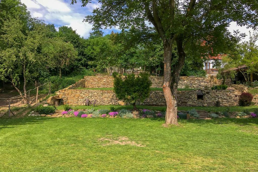 Penzion Na Hradcanech Nové Město nad Metují Buitenkant foto